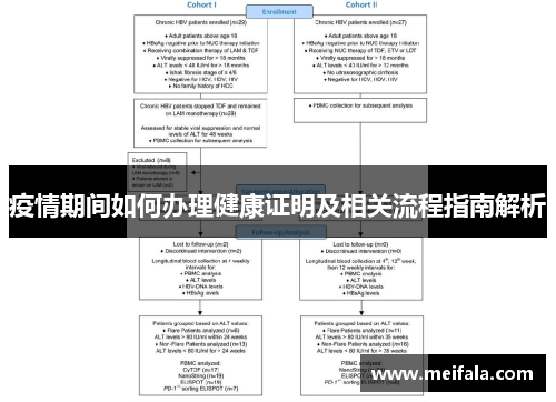 疫情期间如何办理健康证明及相关流程指南解析