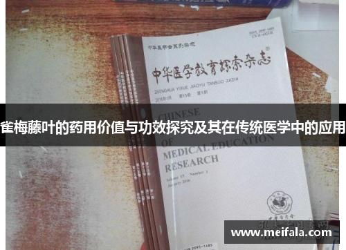 雀梅藤叶的药用价值与功效探究及其在传统医学中的应用